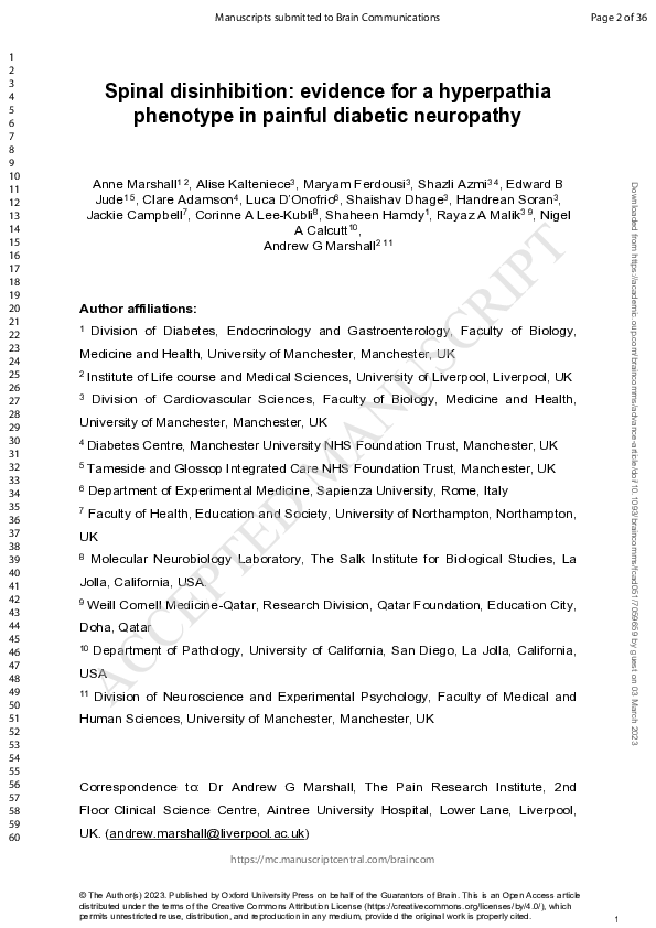 (PDF) Spinal disinhibition: evidence for a hyperpathia phenotype in ...