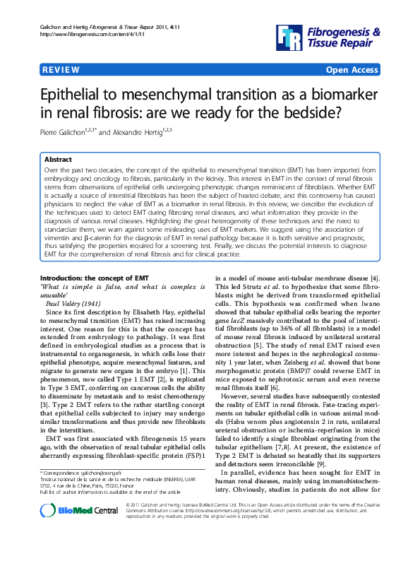 (PDF) Epithelial to mesenchymal transition as a biomarker in renal ...
