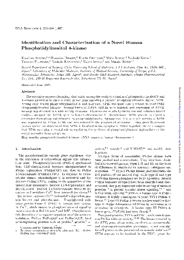 (PDF) Identification and Characterization of a Novel Human ...