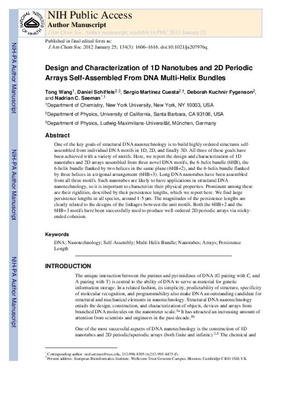 (PDF) Design and Characterization of 1D Nanotubes and 2D Periodic ...