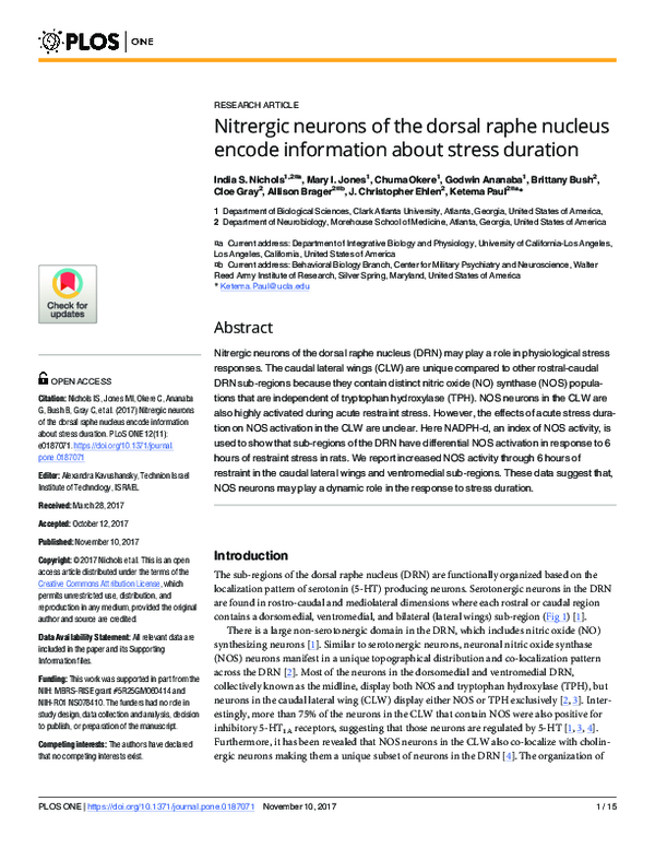 (PDF) Nitrergic neurons of the dorsal raphe nucleus encode information ...