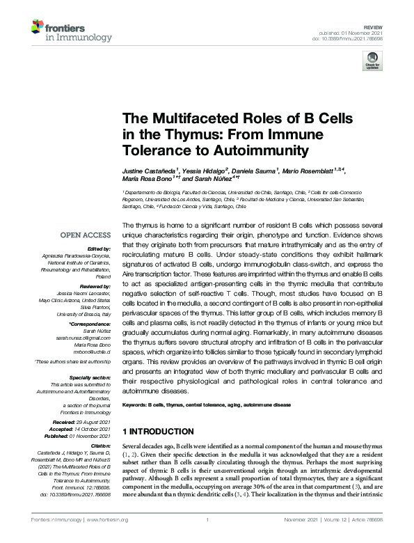 (PDF) The Multifaceted Roles of B Cells in the Thymus: From Immune ...