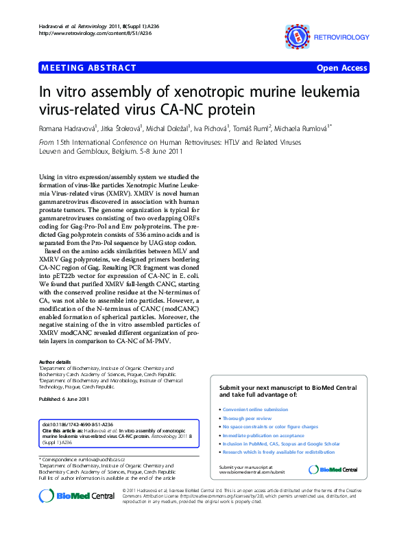 (PDF) In vitro assembly of xenotropic murine leukemia virus-related ...