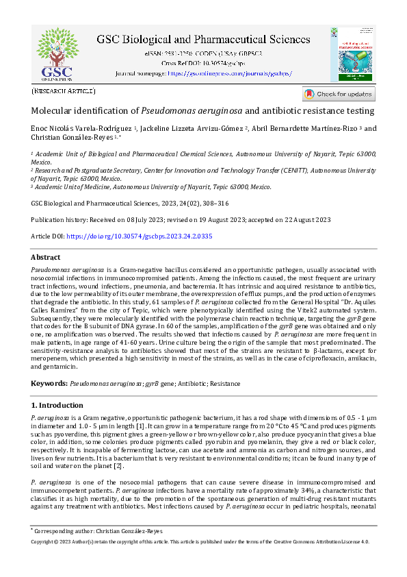 (PDF) Molecular identification of Pseudomonas aeruginosa and antibiotic ...