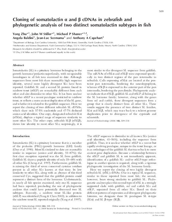 (PDF) Cloning of somatolactin alpha and beta cDNAs in zebrafish and ...