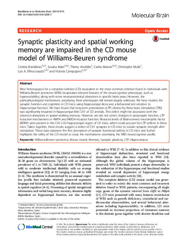 (PDF) Synaptic plasticity and spatial working memory are impaired in ...