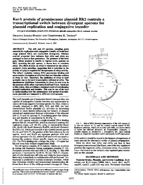 (PDF) KorA protein of promiscuous plasmid RK2 controls a ...