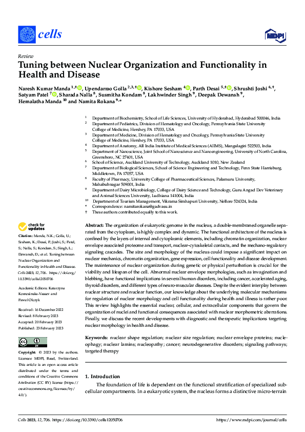 (PDF) Tuning between Nuclear Organization and Functionality in Health ...
