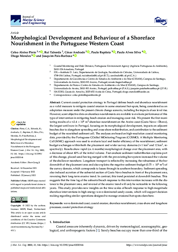 (PDF) Morphological Development and Behaviour of a Shoreface ...