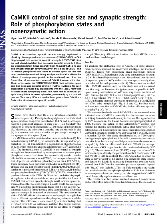 (PDF) CaMKII control of spine size and synaptic strength: Role of ...