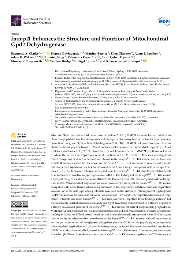 (PDF) Immp2l Enhances the Structure and Function of Mitochondrial Gpd2 ...