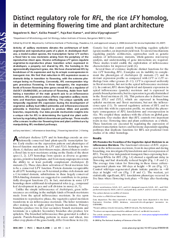 (PDF) Distinct regulatory role for RFL , the rice LFY homolog, in ...