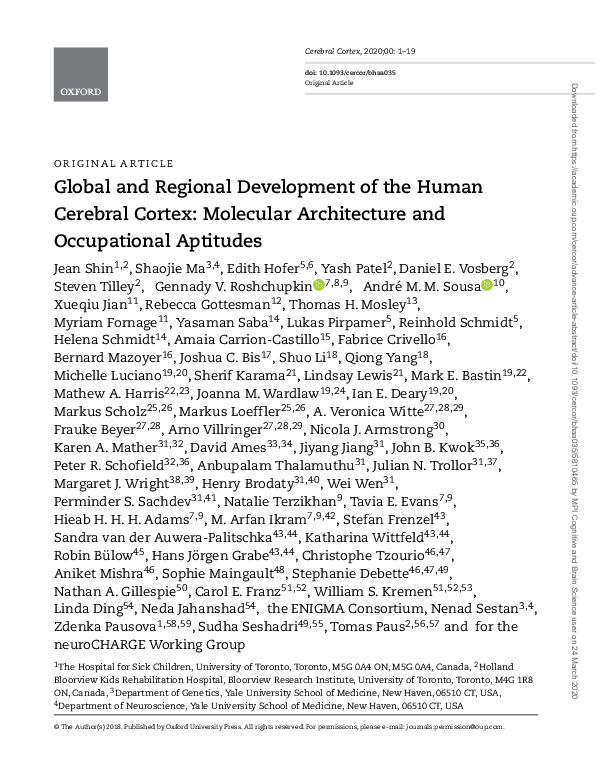 (PDF) Global and Regional Development of the Human Cerebral Cortex ...