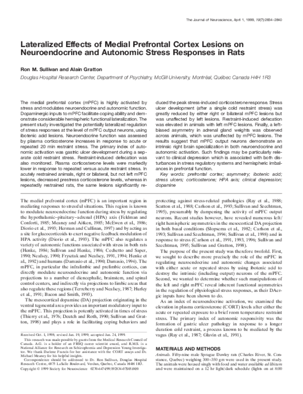 (PDF) Lateralized Effects of Medial Prefrontal Cortex Lesions on ...
