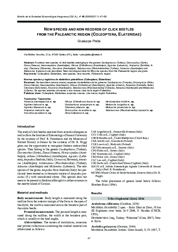 (PDF) New species and new records of click beetles from the Paleartic ...