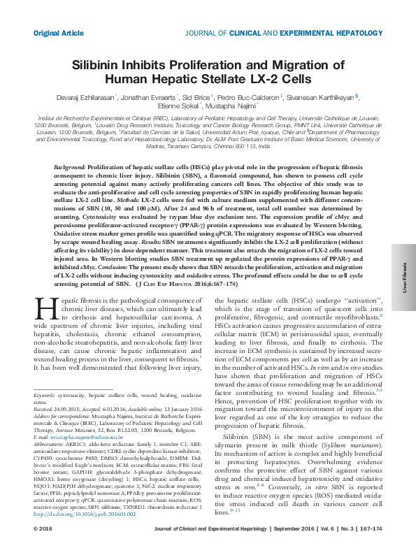 (PDF) Silibinin Inhibits Proliferation and Migration of Human Hepatic ...