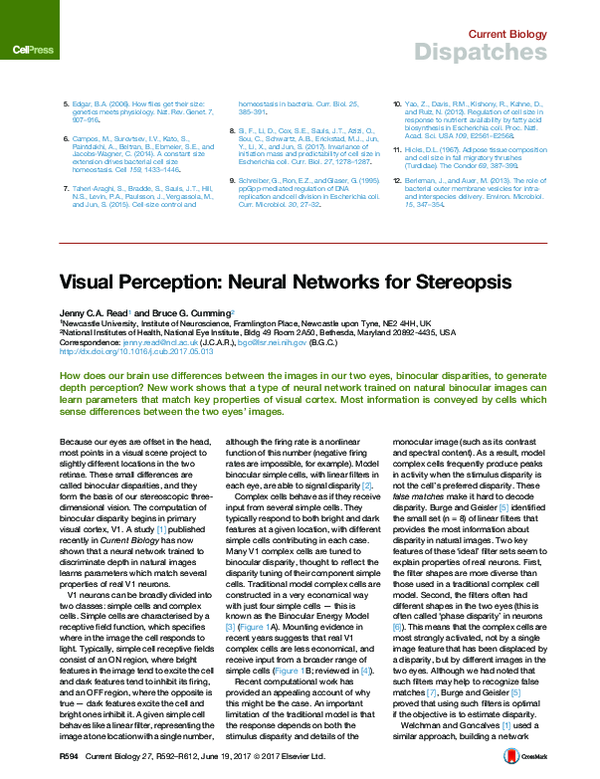 (PDF) Visual Perception: Neural Networks for Stereopsis