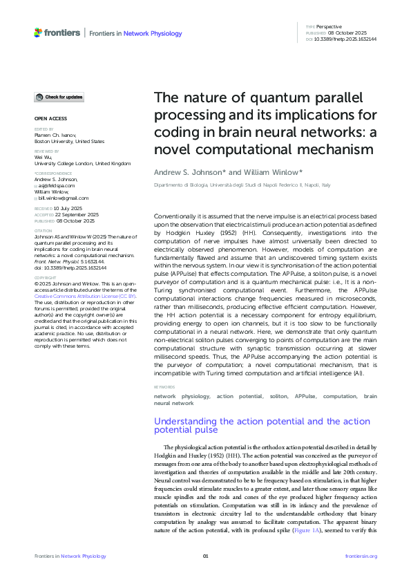 (PDF) The nature of quantum parallel processing and its implications ...