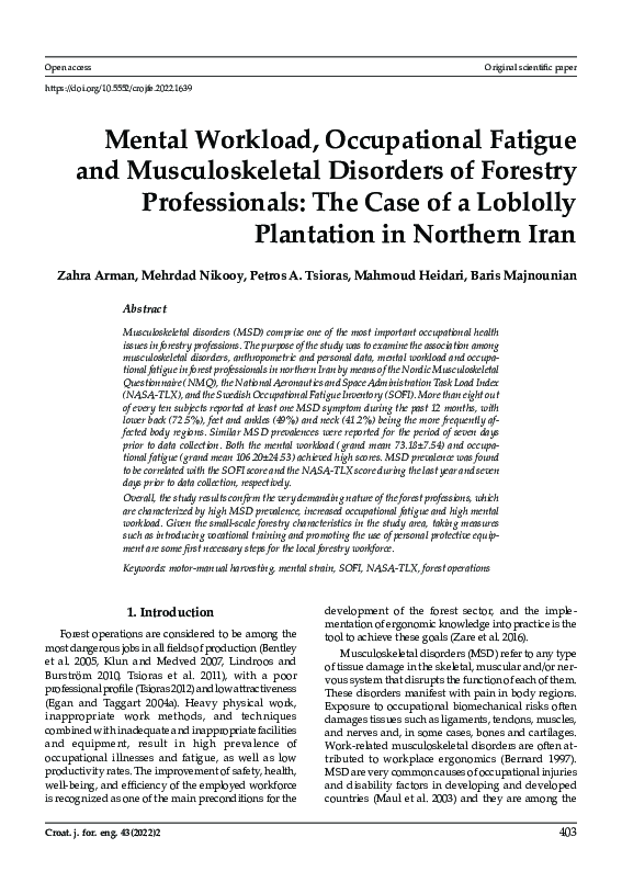 (PDF) Mental Workload, Occupational Fatigue and Musculoskeletal ...