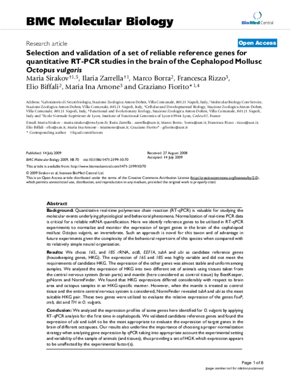 (PDF) Selection and validation of a set of reliable reference genes for ...