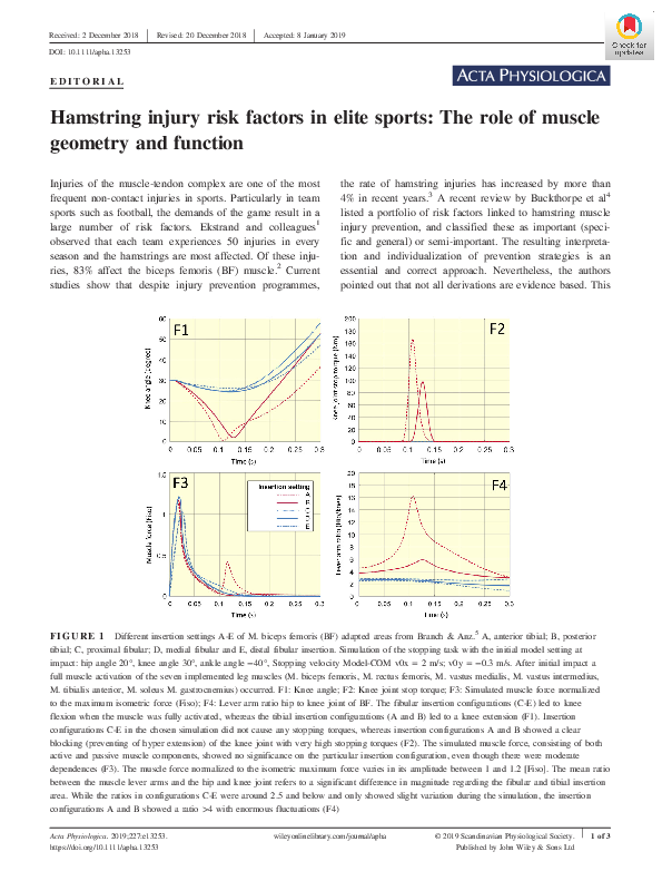 (PDF) Hamstring injury risk factors in elite sports: The role of muscle ...