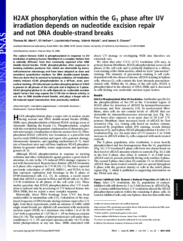 (PDF) H2AX phosphorylation within the G 1 phase after UV irradiation ...
