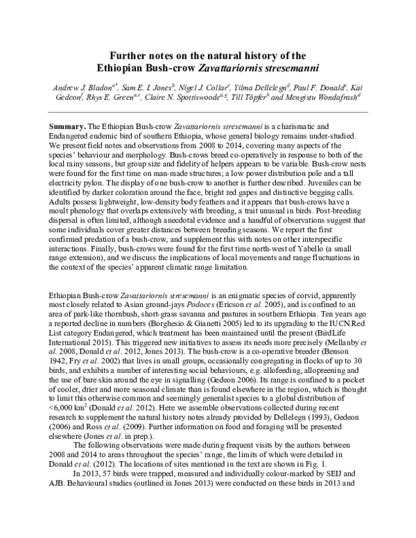 (PDF) Further notes on the natural history of the Ethiopian Bush-crow