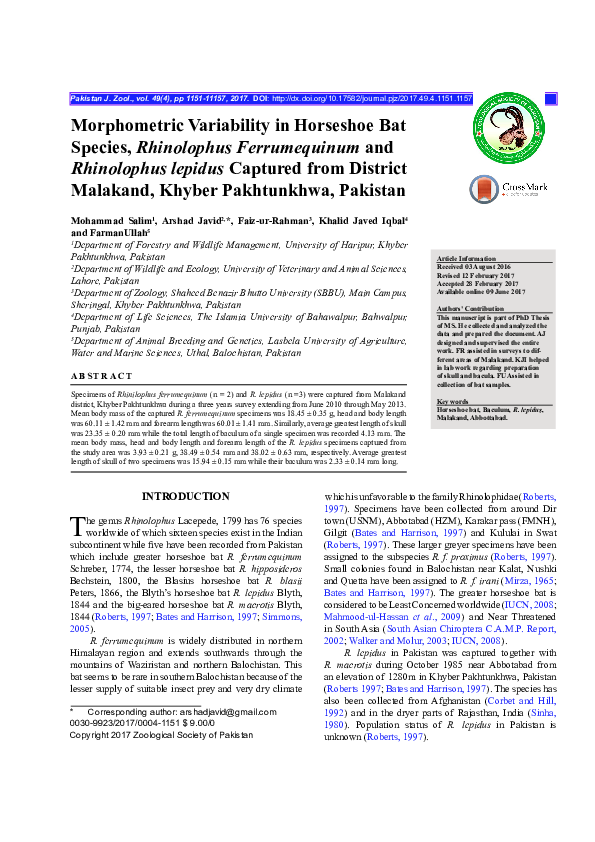 (PDF) Morphometric Variability in Horseshoe Bat Species, Rhinolophus ...