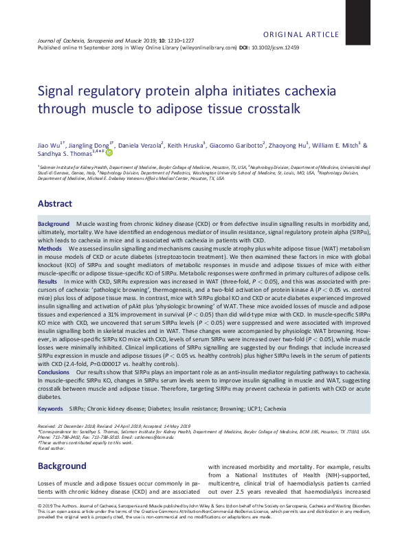 (PDF) Signal regulatory protein alpha initiates cachexia through muscle ...