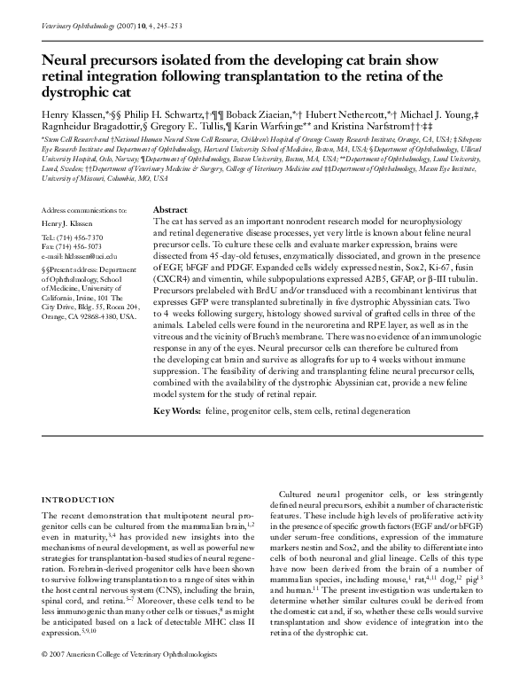 (PDF) Neural precursors isolated from the developing cat brain show ...