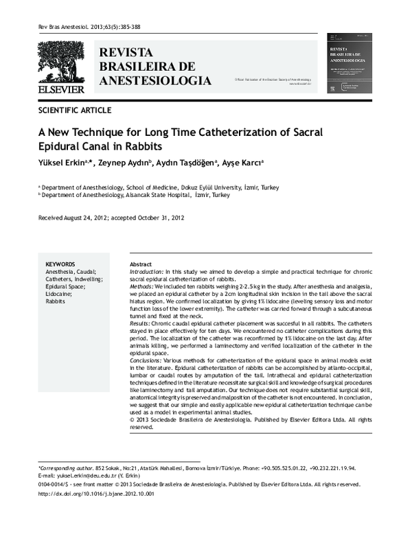 (PDF) A New Technique for Long Time Catheterization of Sacral Epidural ...