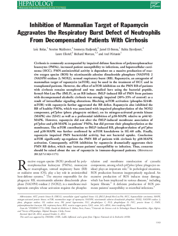 (PDF) Inhibition of mammalian target of rapamycin aggravates the ...