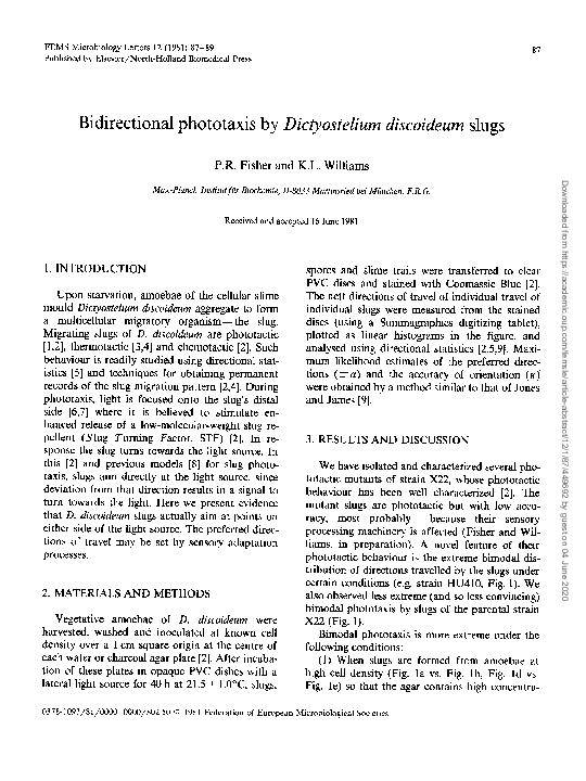 (PDF) Bidirectional phototaxis by Dictyostelium discoideum slugs
