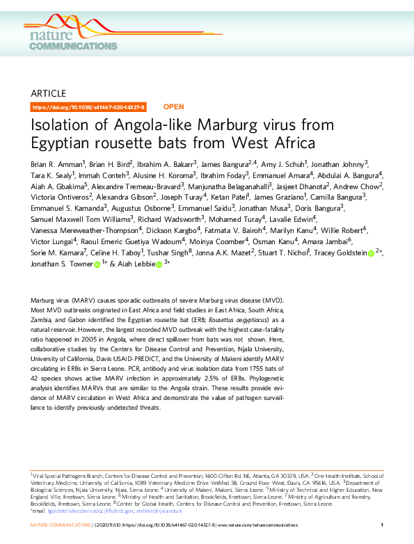 (PDF) Isolation of Angola-like Marburg virus from Egyptian rousette ...