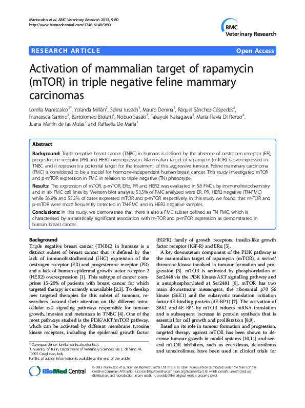 (PDF) Activation of mammalian target of rapamycin (mTOR) in triple ...