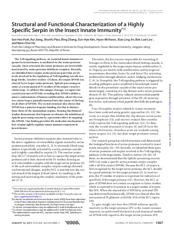 (PDF) Structural and Functional Characterization of a Highly Specific ...
