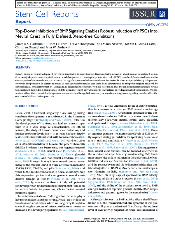 (PDF) Top-Down Inhibition of BMP Signaling Enables Robust Induction of ...