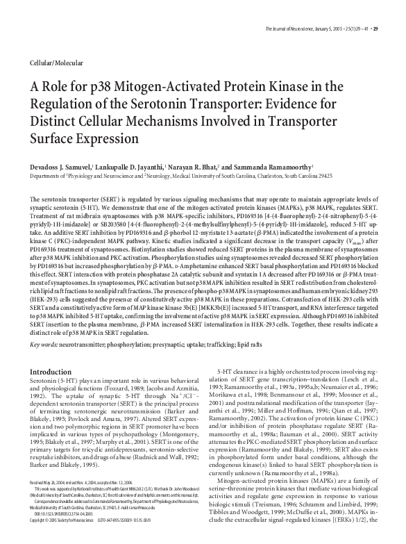 (PDF) A Role for p38 Mitogen-Activated Protein Kinase in the Regulation ...
