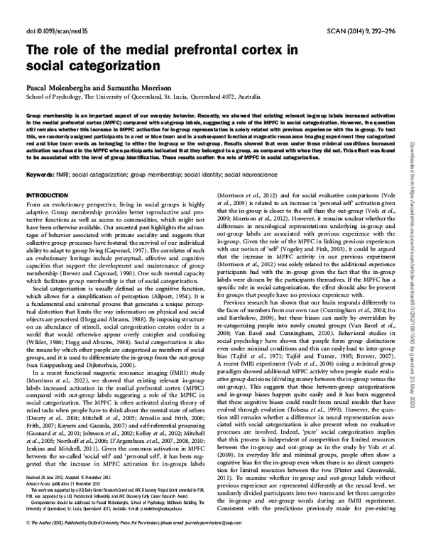 (PDF) The role of the medial prefrontal cortex in social categorization