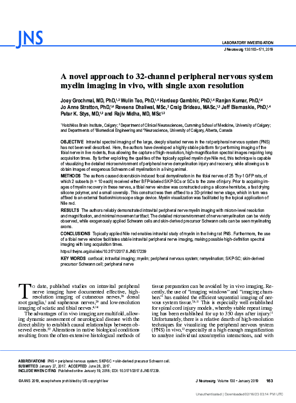 (PDF) A novel approach to 32-channel peripheral nervous system myelin ...