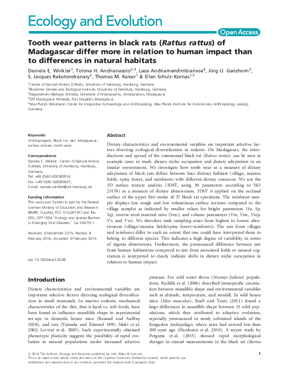 (PDF) Tooth wear patterns in black rats (Rattus rattus) of Madagascar ...