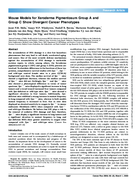 (PDF) Mouse Models for Xeroderma Pigmentosum Group A and Group C Show ...