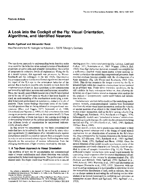 (PDF) A look into the cockpit of the fly: visual orientation ...