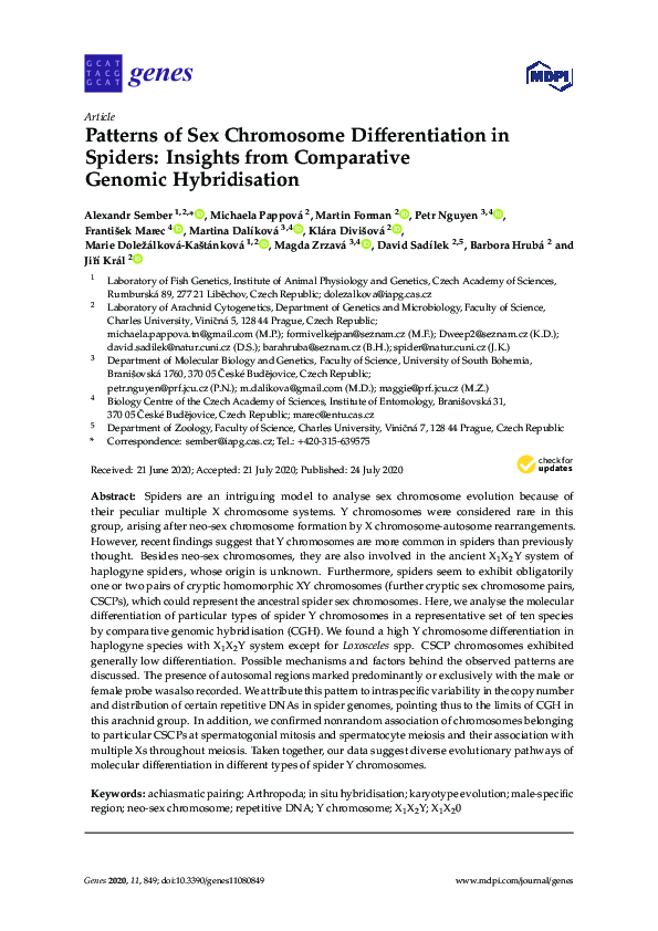(PDF) Patterns of Sex Chromosome Differentiation in Spiders: Insights ...