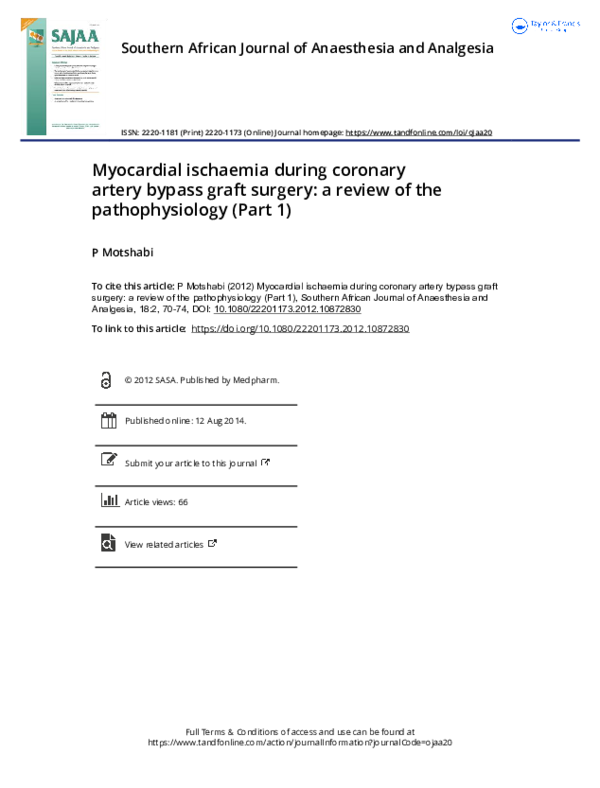 (PDF) Myocardial ischaemia during coronary artery bypass graft surgery ...
