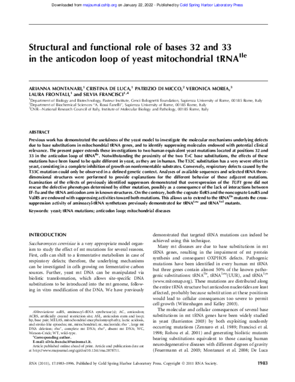 (PDF) Structural and functional role of bases 32 and 33 in the ...