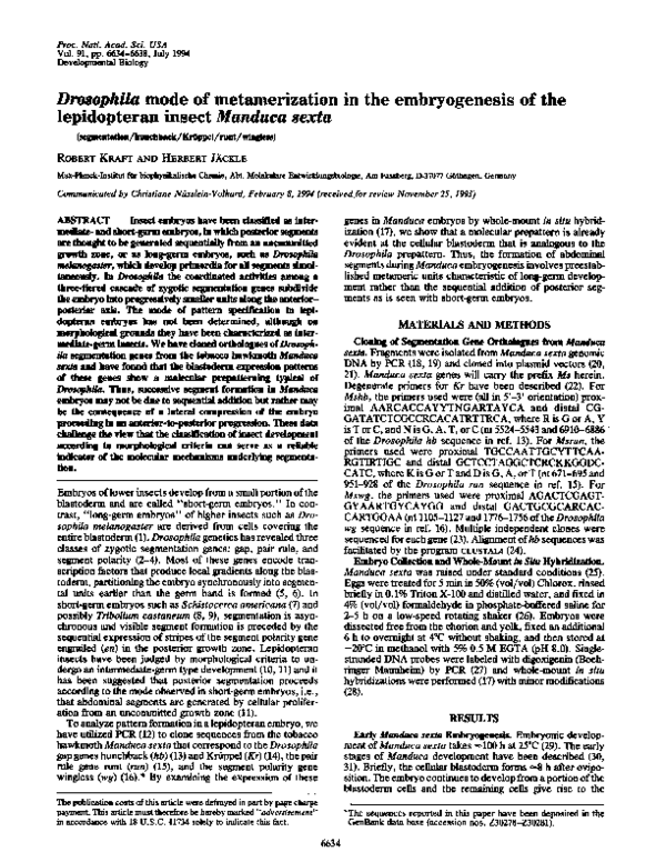 (PDF) Drosophila mode of metamerization in the embryogenesis of the ...