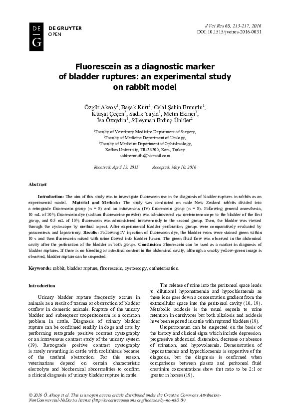 (PDF) Fluorescein as a diagnostic marker of bladder ruptures: an ...