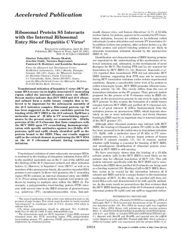 (PDF) Ribosomal Protein S5 Interacts with the Internal Ribosomal Entry ...