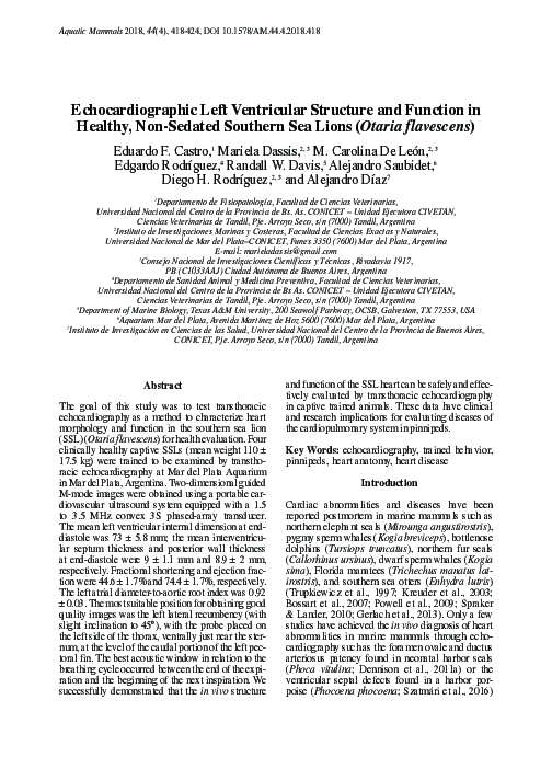 (PDF) Echocardiographic Left Ventricular Structure and Function in ...